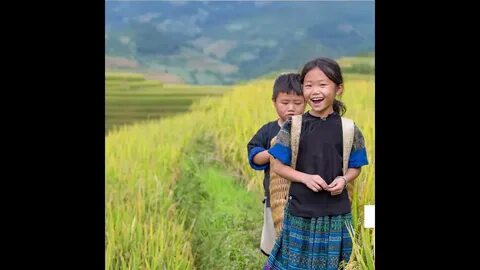 Xu hướng Mua váy hoa mà không biết 4: Hotspot Matrix tiết lộ bí quyết video viral_Khóa học biên tập video