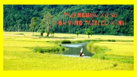 Xu hướng 3 kiểu giày