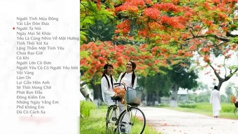 Các nhà khoa học phân tích - Cảm hứng video marketing từ Hotspot Matrix_Video quảng cáo trên Facebook