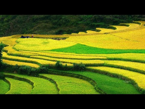Cách Khởi Nghiệp Kiếm Tiền Bán Thời Gian Dành Cho Người Mới_video hậu trường hấp dẫn